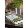 Voir la diapositive 3 : NATURE Nature Jeu de propagateur 55 x 31 x 22 cm