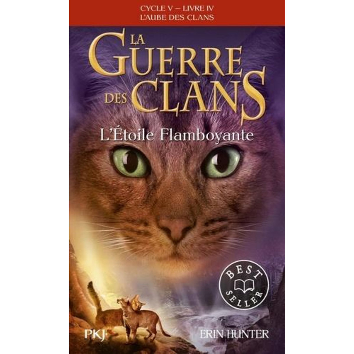 LA GUERRE DES CLANS : L'AUBE DES CLANS (CYCLE V) TOME 4 : L'ETOILE FLAMBOYANTE, Hunter Erin