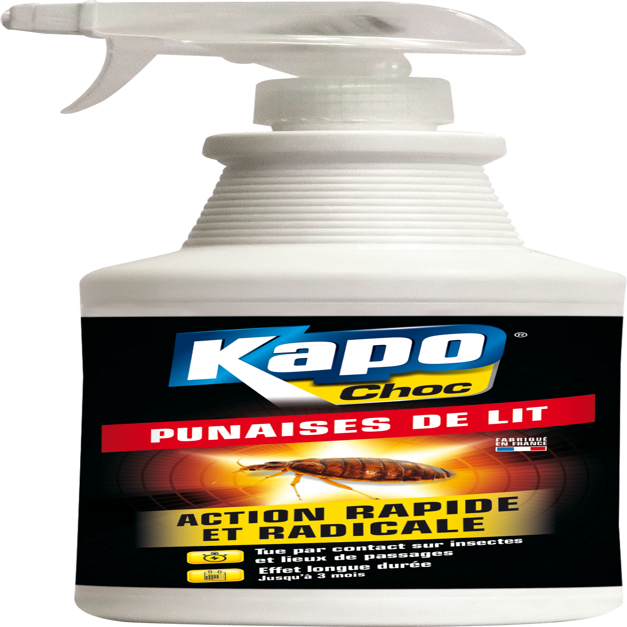 Kapo Antipunaises pulvérisateur punaises de lit KAPO, 1 l