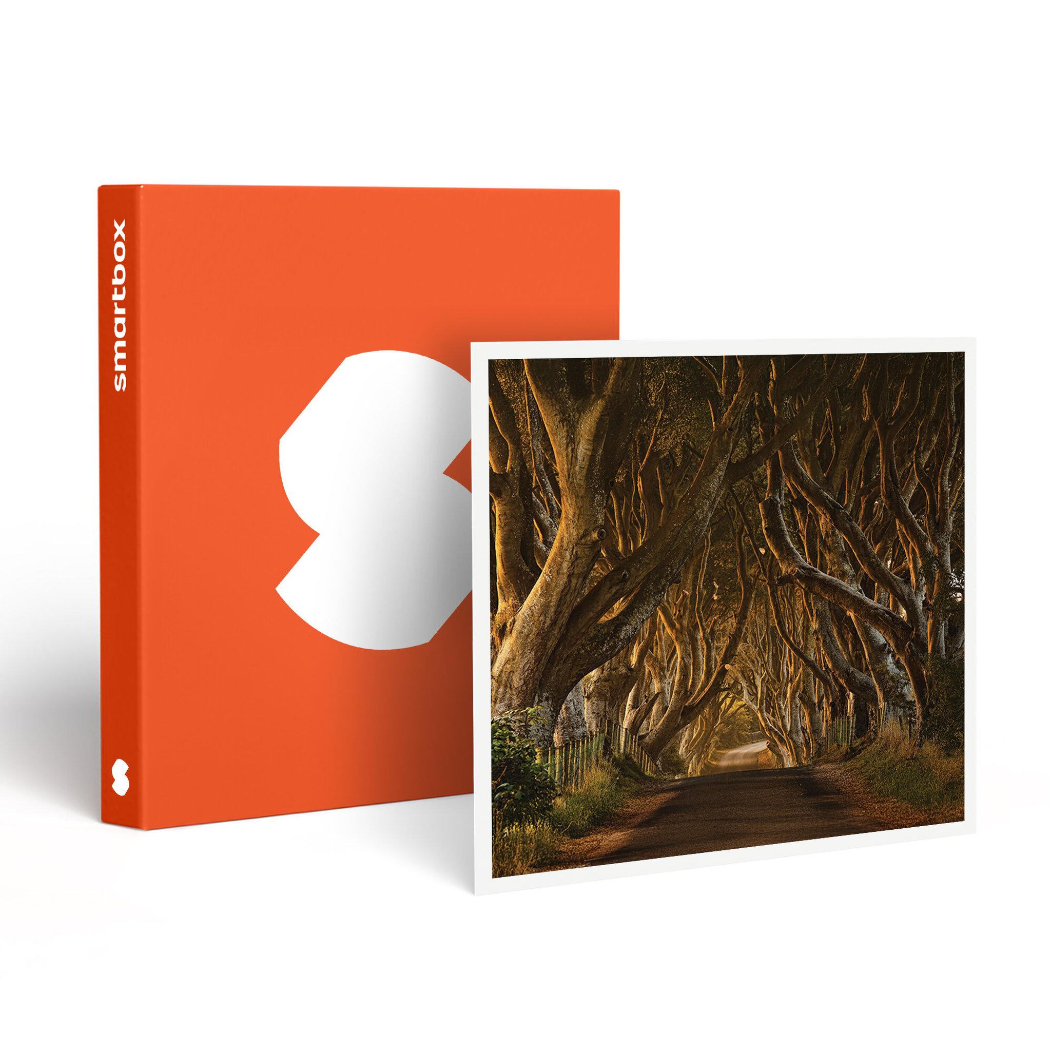 Smartbox 4 jours à dublin avec visite guidée des lieux emblématiques de game of thrones® - coffret cadeau séjour