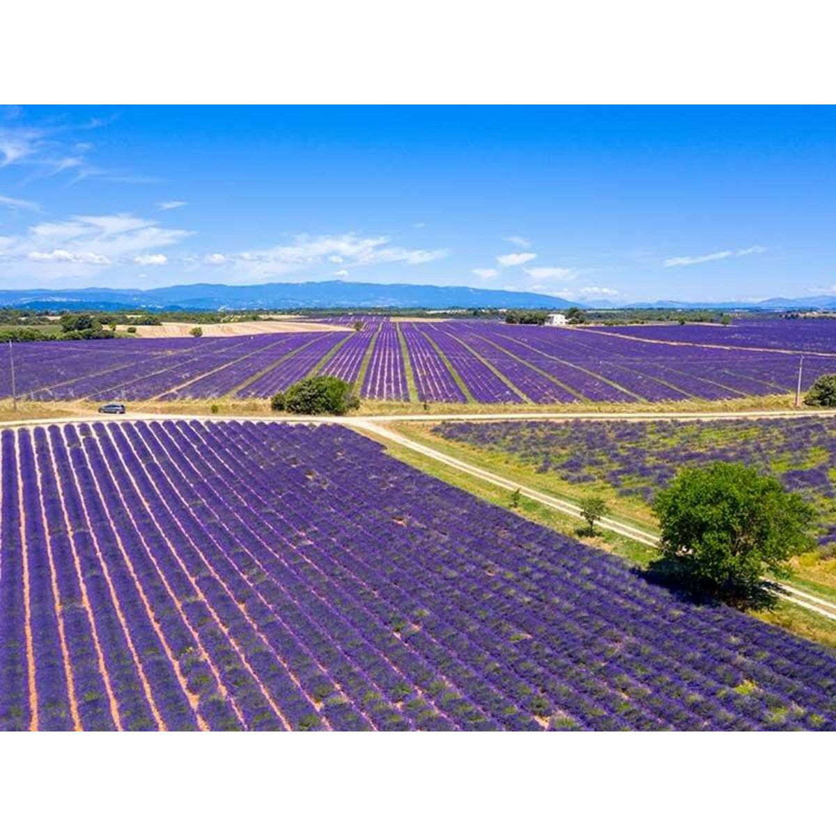 Smartbox Vol en hélicoptère de 30 min au-dessus de Valensole et ses environs - Coffret Cadeau Sport & Aventure