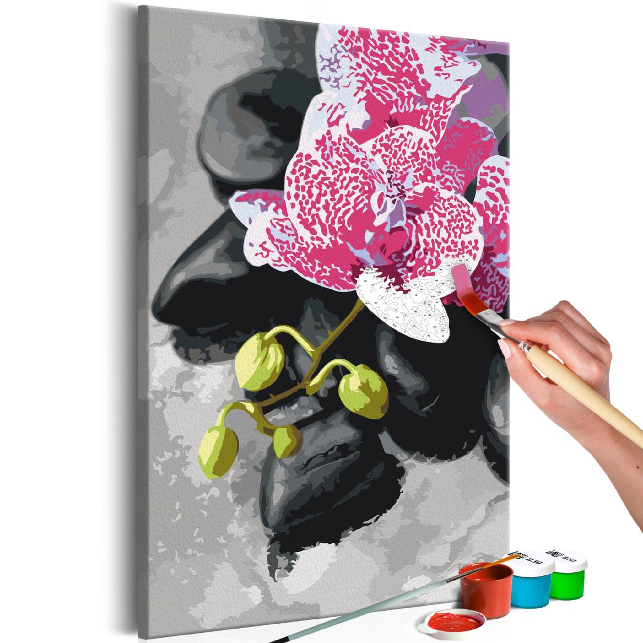 Voir la diapositive 1 : Paris Prix Tableau à Peindre Soi-Même  Orchidée Rose  40x60cm