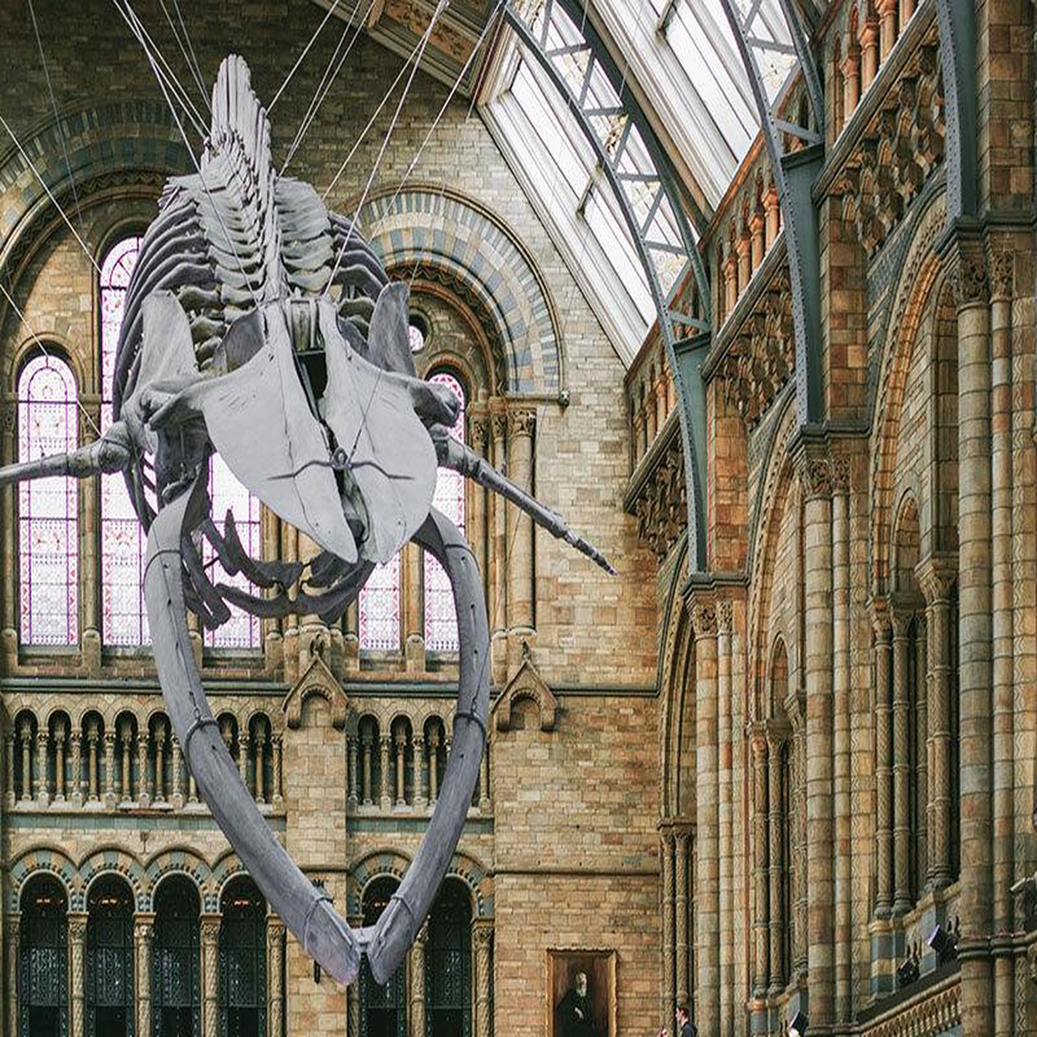 Voir la diapositive 3 : Smartbox Visite guidée du musée d'histoire naturelle de londres en duo - coffret cadeau sport & aventure