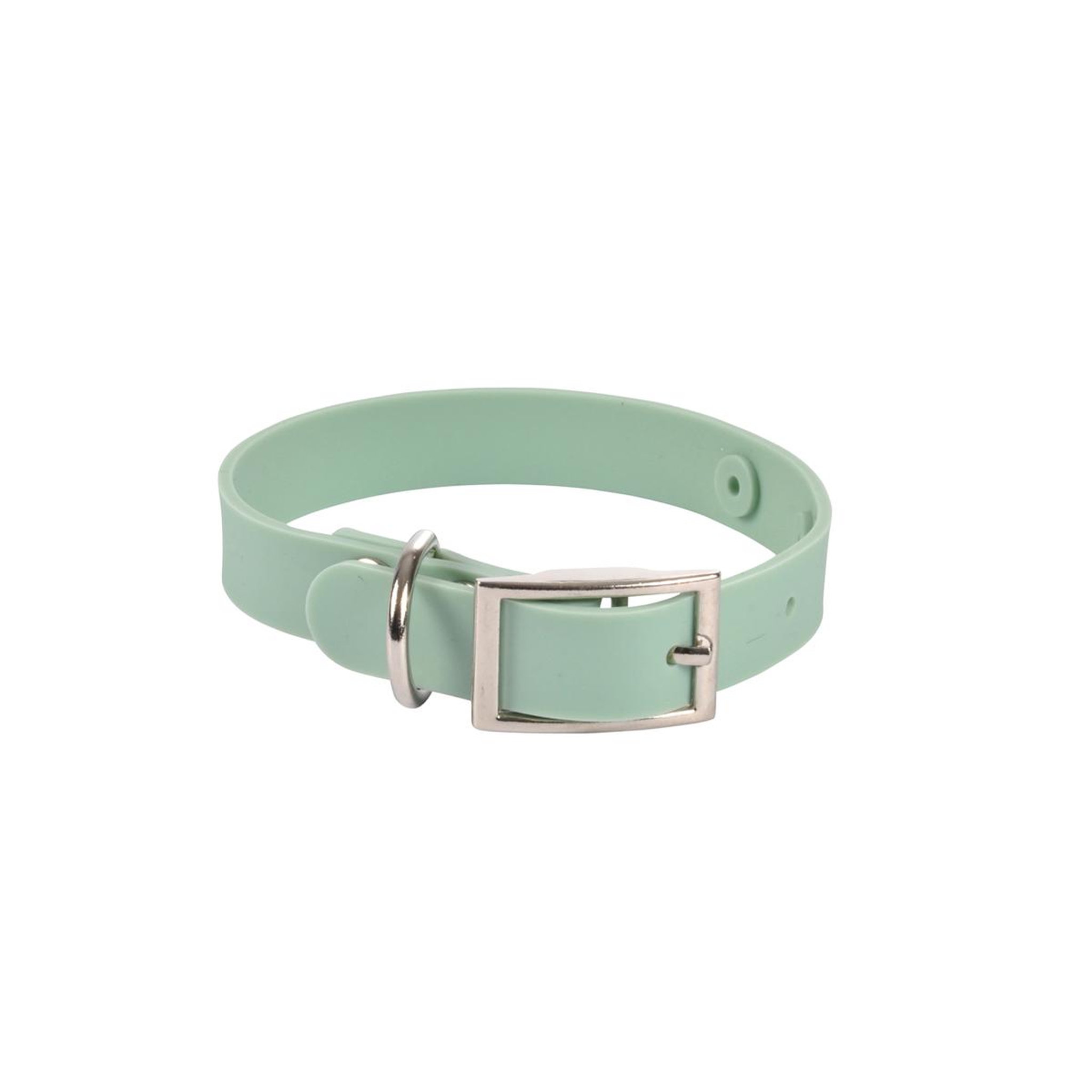 Eden Collier chien silicone menthe s. Coloris disponibles : Vert, Blanc