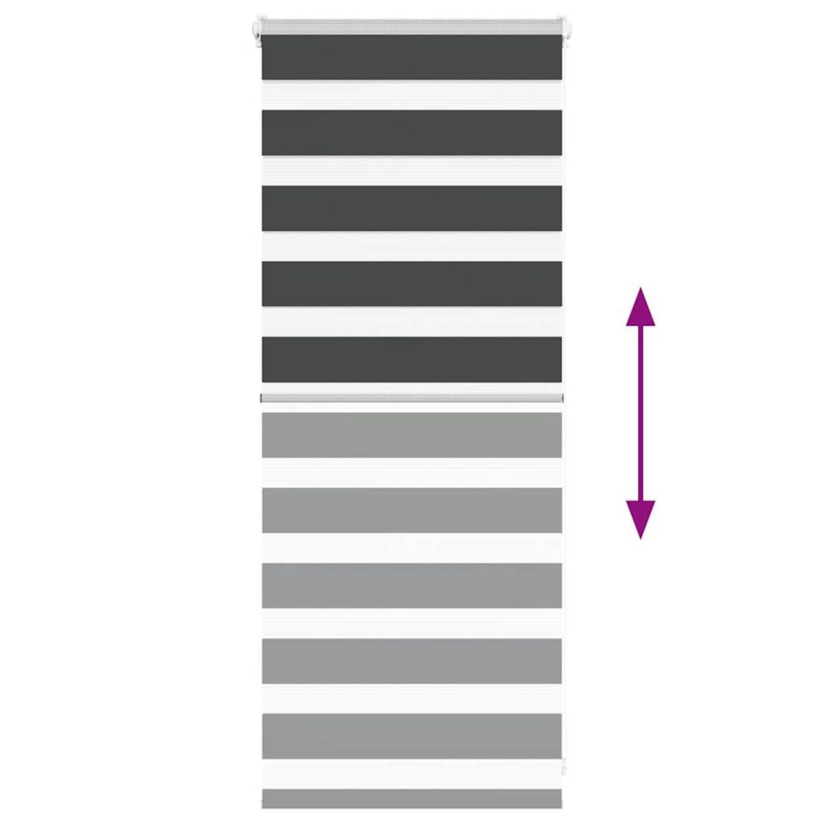 VIDAXL Store zebre noir 65x100 cm largeur du tissu 60,9 cm polyester