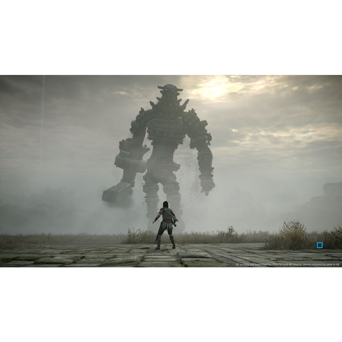 SONY Shadow of the Colossus PS4