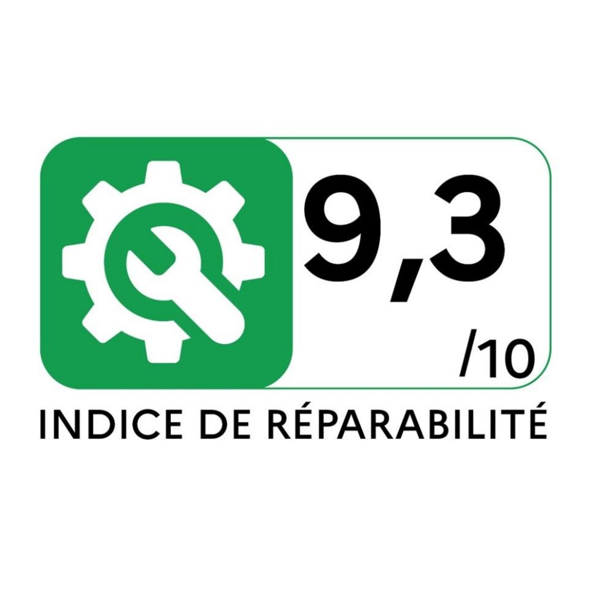 ROWENTA Aspirateur traineau 750w 75db noir/bordeaux - RO4933EA