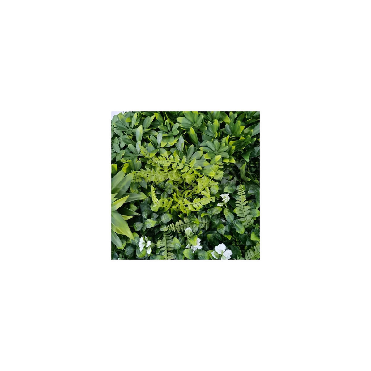 Mur végétal artificiel - Modèle fleur blanche - Dimensions : 100 x 100 cm
