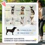 Voir la diapositive 4 : PAWHUT Poussette buggy pliable animaux chariot pliant chien chat porte-gobelet panier de rangement inclus roues avec frein tissu 600D Oxford métal rouge
