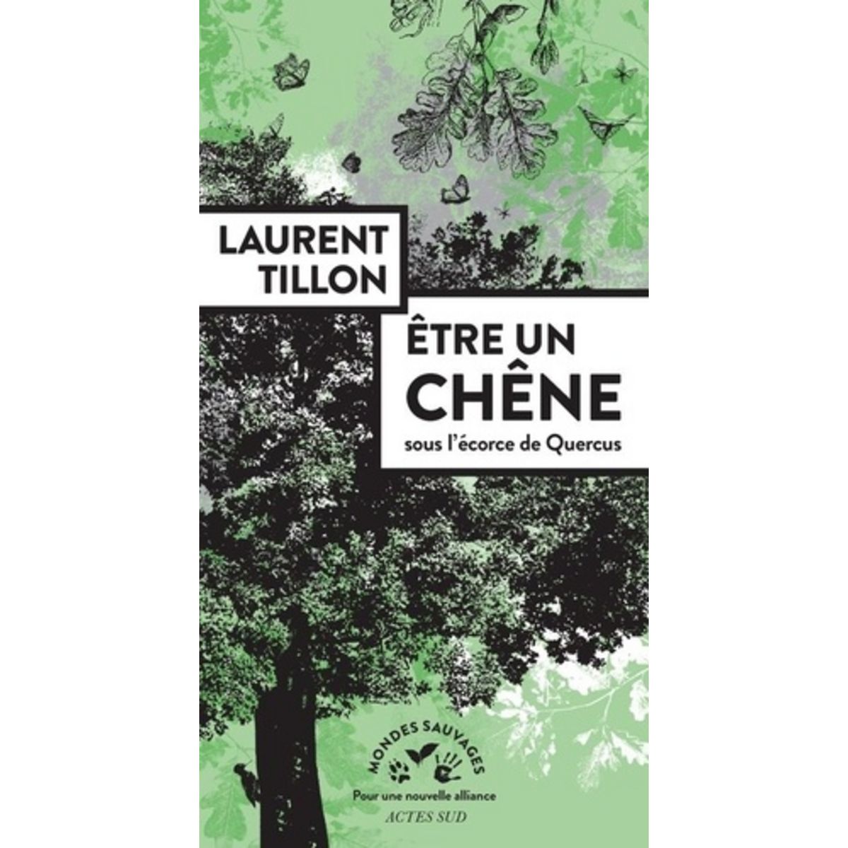  ETRE UN CHENE. SOUS L'ECORCE DE QUERCUS, Tillon Laurent