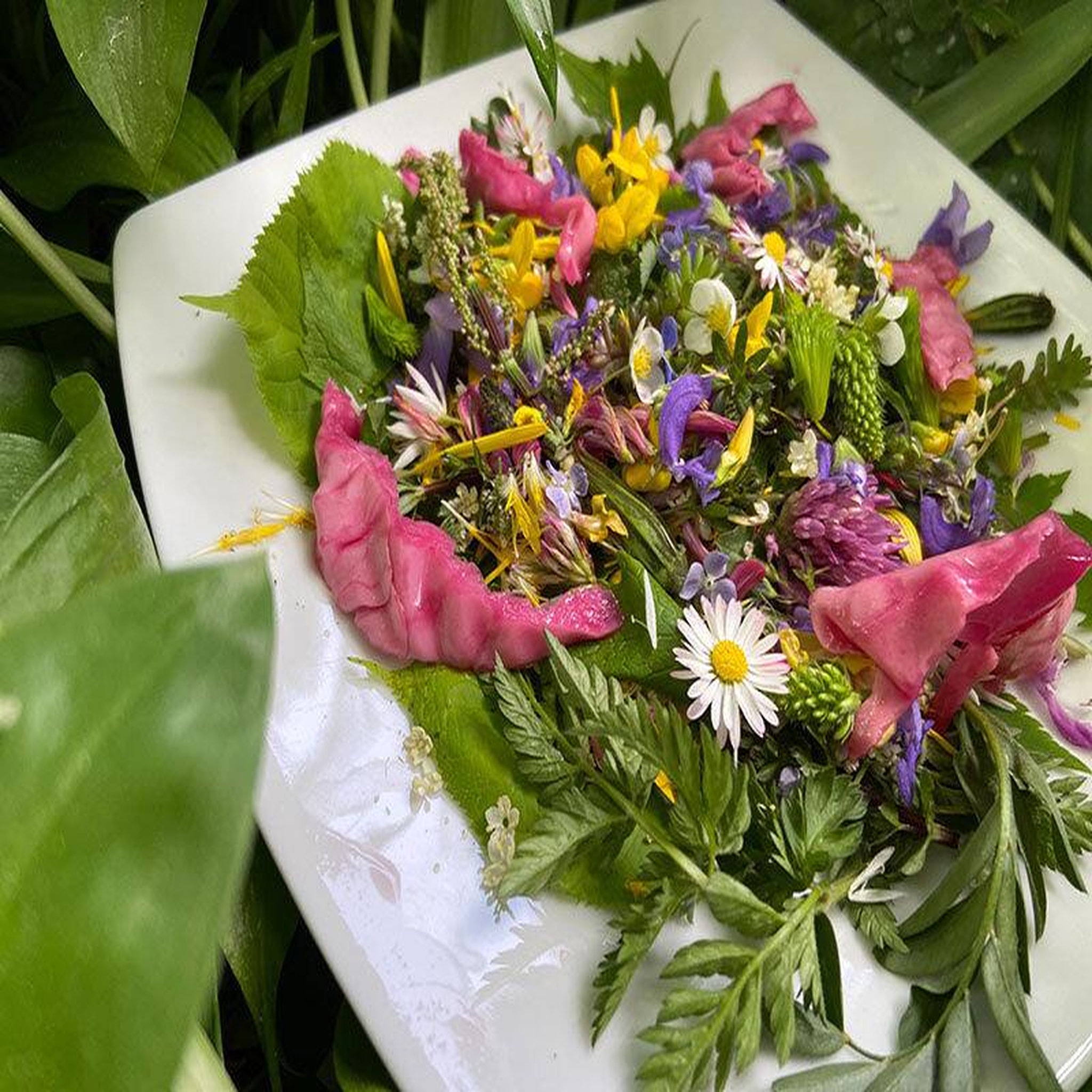 Voir la diapositive 3 : Smartbox Cours de cuisine végétarienne à base de plantes sauvages sur les bords du lac d'annecy - coffret cadeau gastronomie