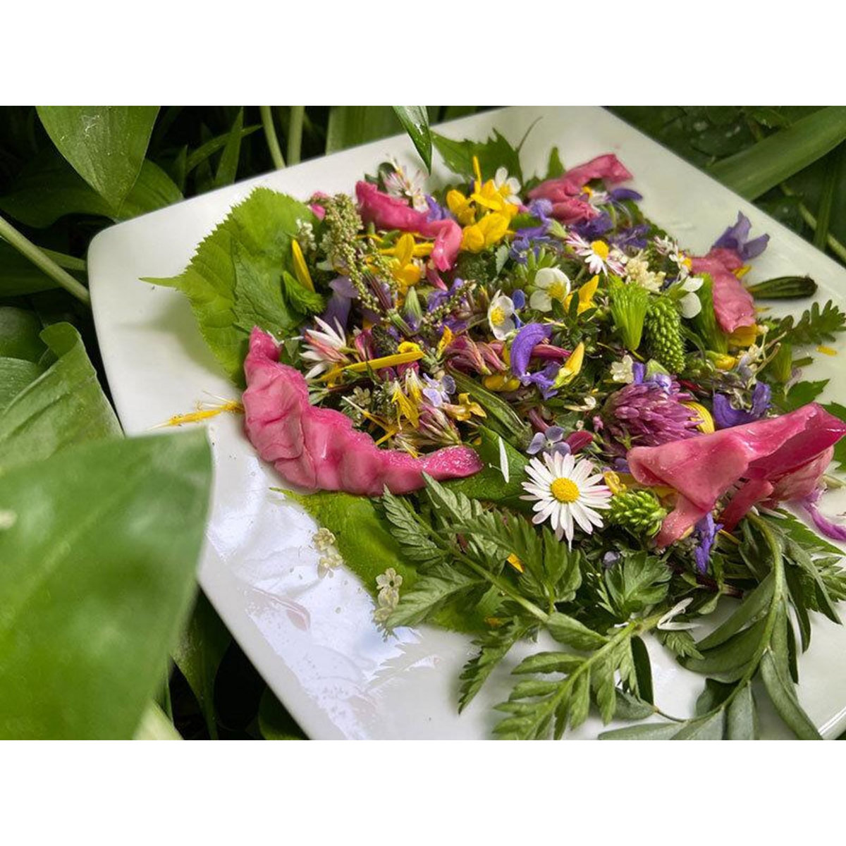 Smartbox Cours de cuisine végétarienne à base de plantes sauvages sur les bords du lac d'Annecy - Coffret Cadeau Gastronomie