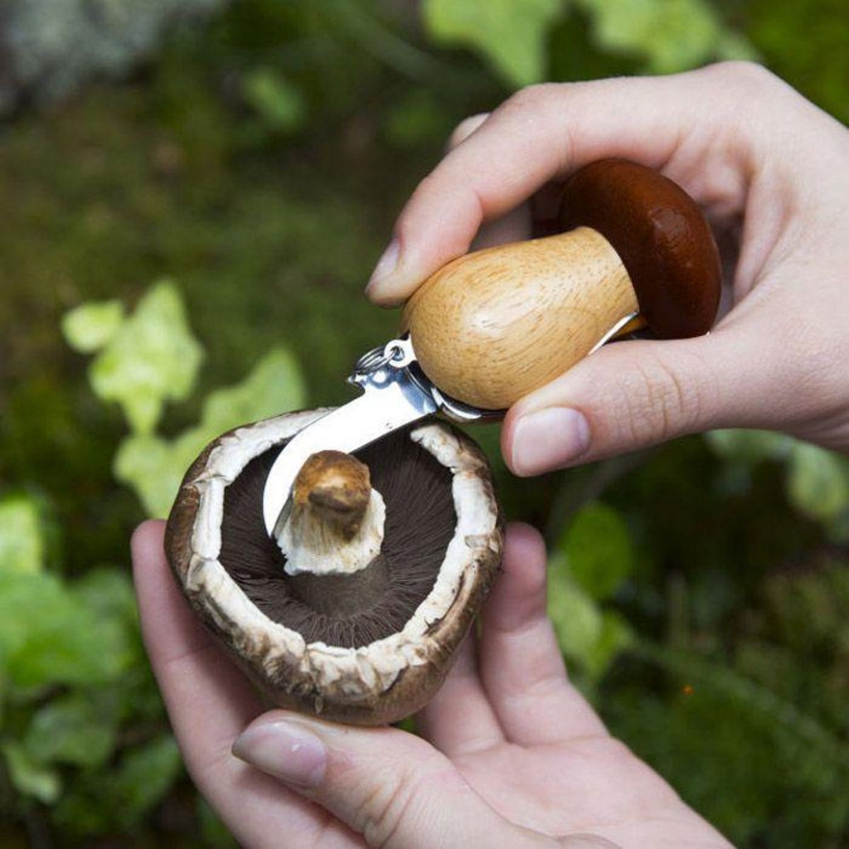 Kikkerland Couteau à champignons