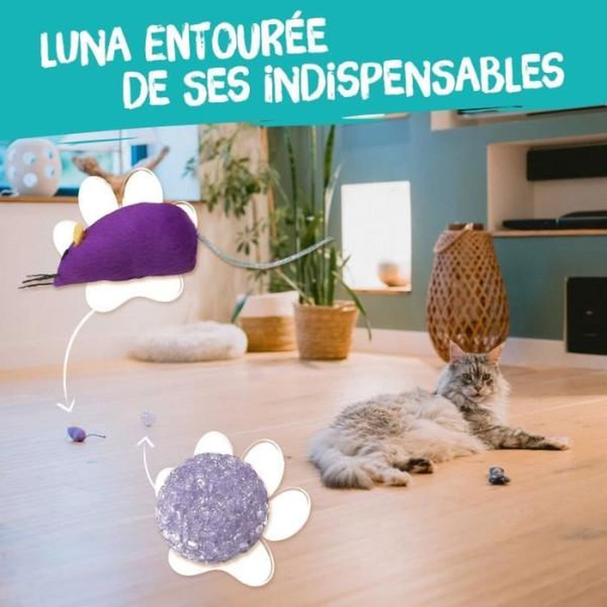 Voir la diapositive 5 : MARKET24 7 jouets pour Chat - AIMÉ