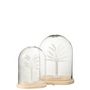 Voir la diapositive 2 : Paris Prix Cloche Déco en Verre  Palmier  22cm Blanc