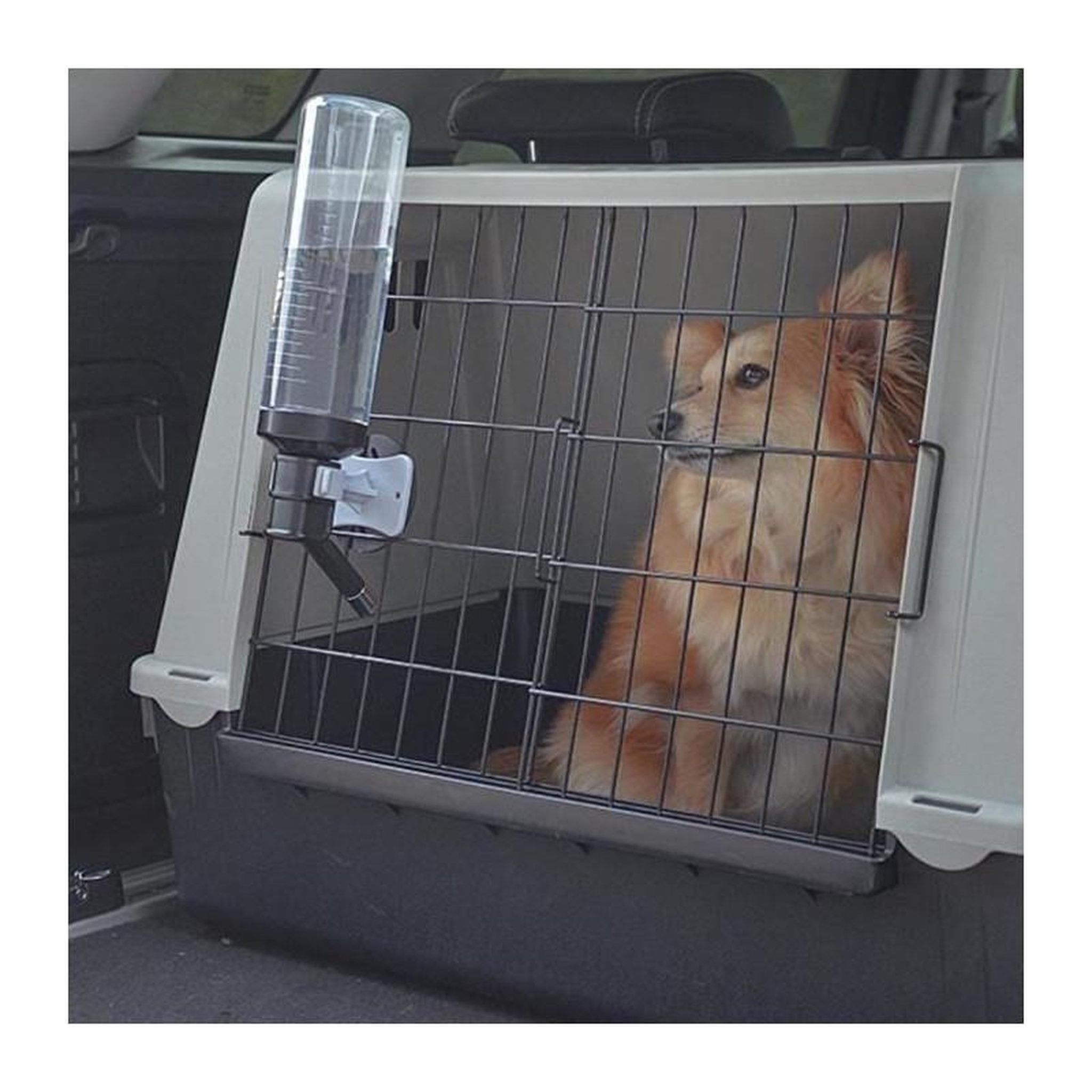 Voir la diapositive 5 : Ferplast Abreuvoir bouteille - FERPLAST - Drinky Dog - Pour transports chiens