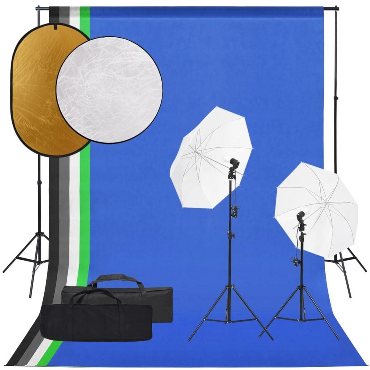 VIDAXL Kit de studio photo avec eclairage toile de fond et reflecteur