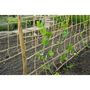 Voir la diapositive 4 : NATURE Nature Filet pour plantes grimpantes en jute 1x3 m naturel