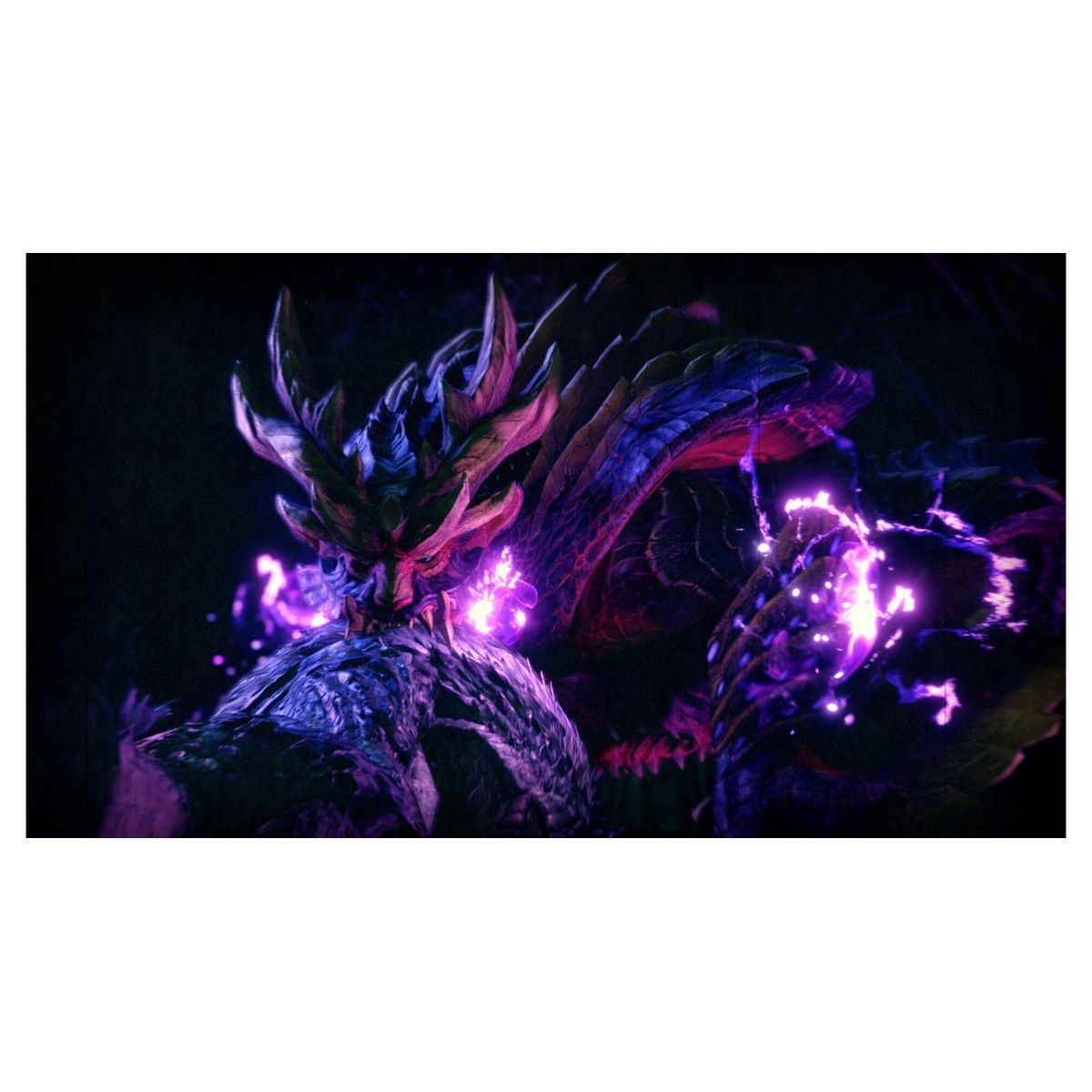 NINTENDO Monster Hunter Rise Edition Collector Nintendo Switch