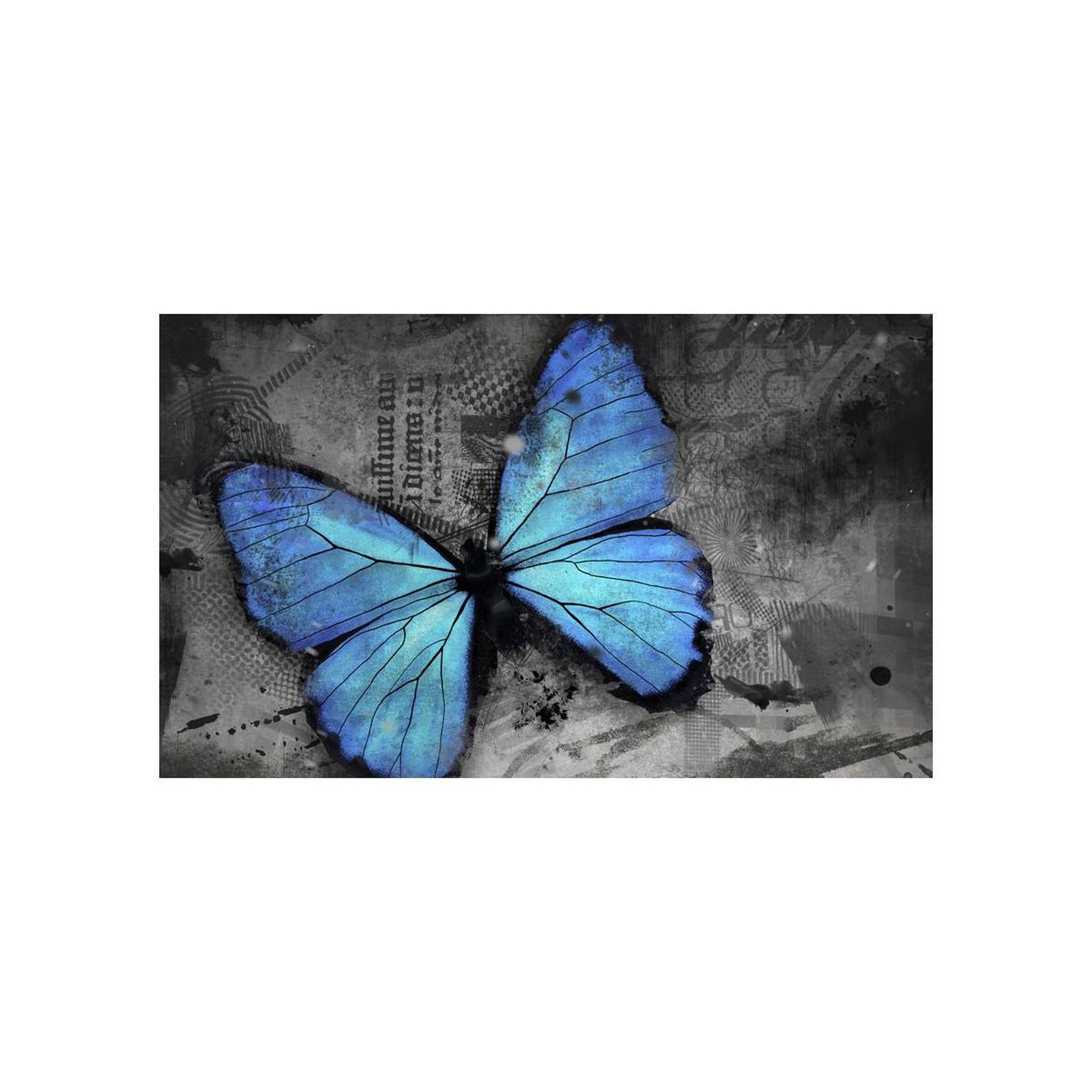 Voir la diapositive 2 : Paris Prix Papier peint  alated ii  450x270cm