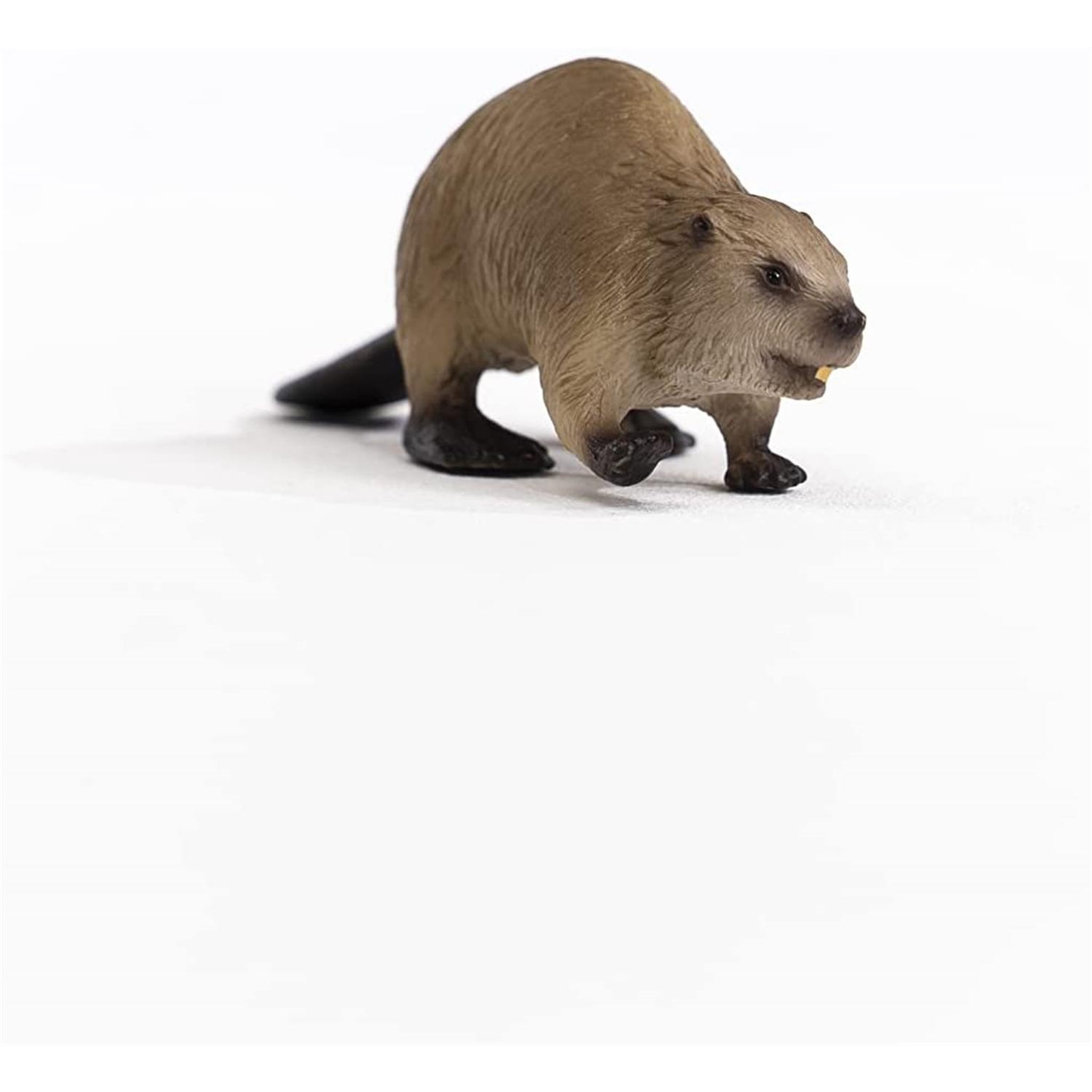 Voir la diapositive 3 : Schleich 14855 figurine animale castor
