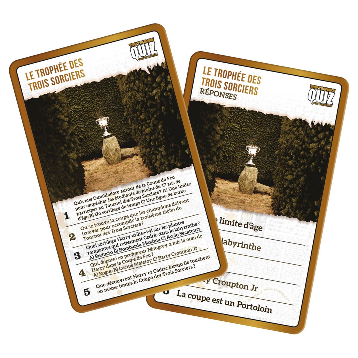  WINNING MOVES Quiz Harry Potter