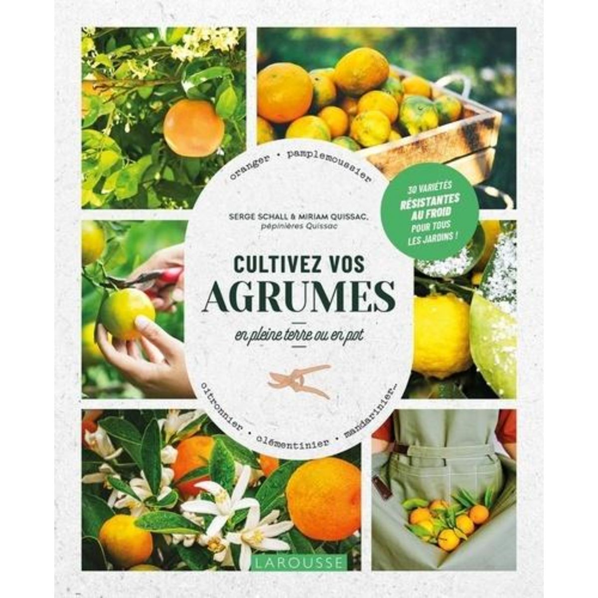 CULTIVEZ VOS AGRUMES. EN PLEINE TERRE OU EN POT, Schall Serge