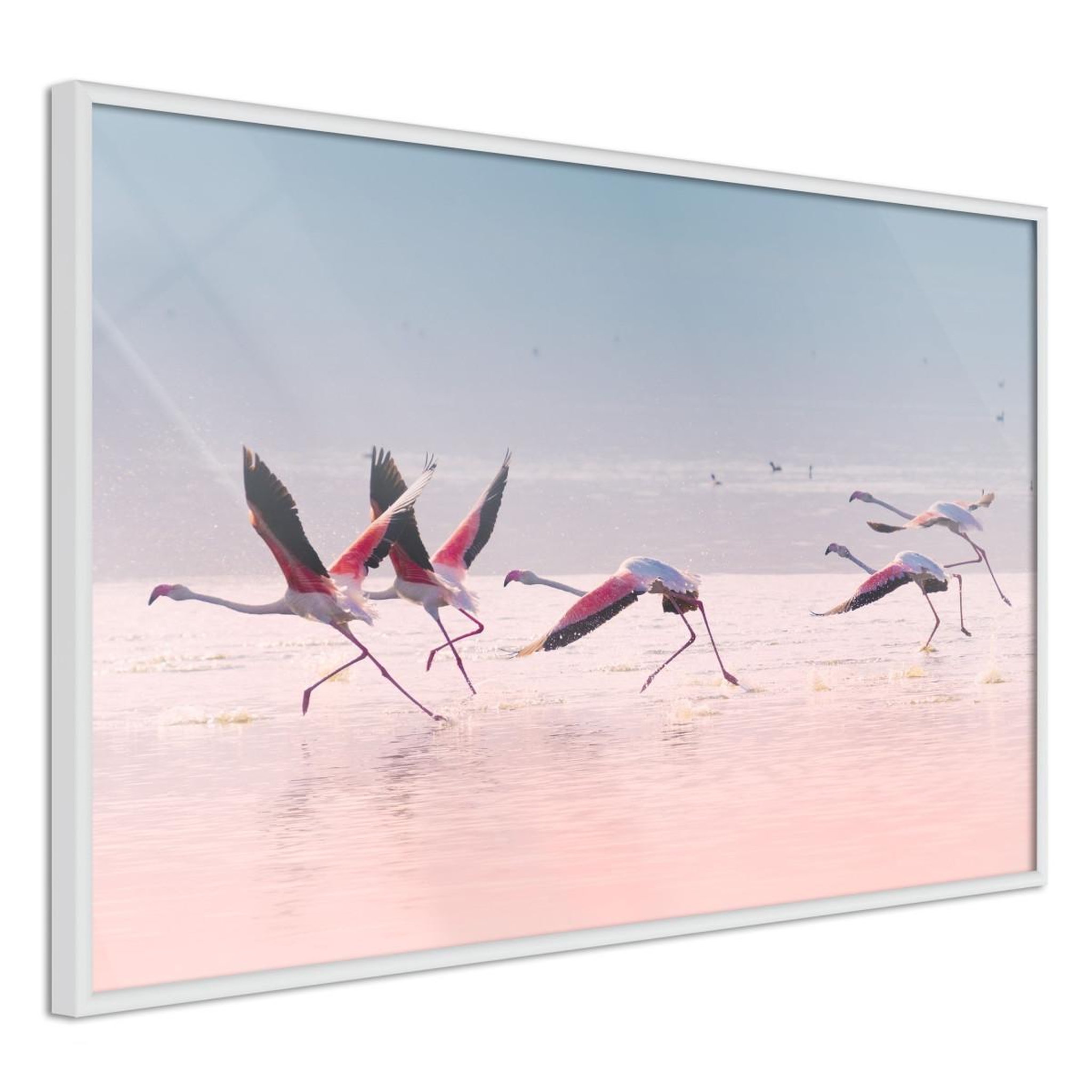 Paris Prix Affiche murale encadrée  flamingos breaking into a flight