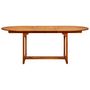 Voir la diapositive 4 : VIDAXL Table de jardin 200x100x75 cm Bois d'acacia massif