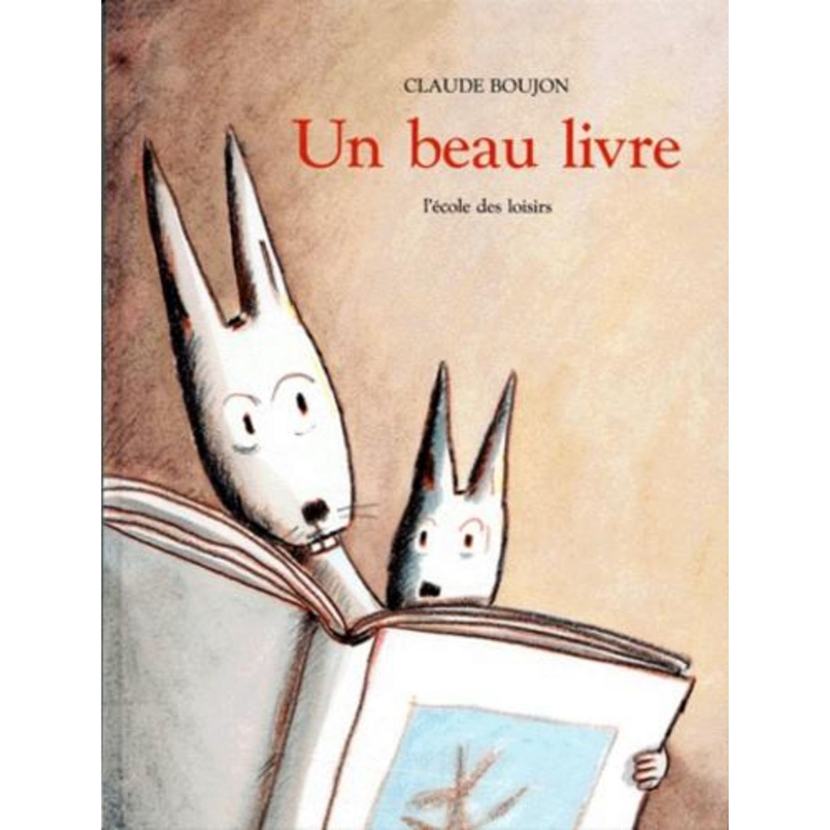 UN BEAU LIVRE, Boujon Claude