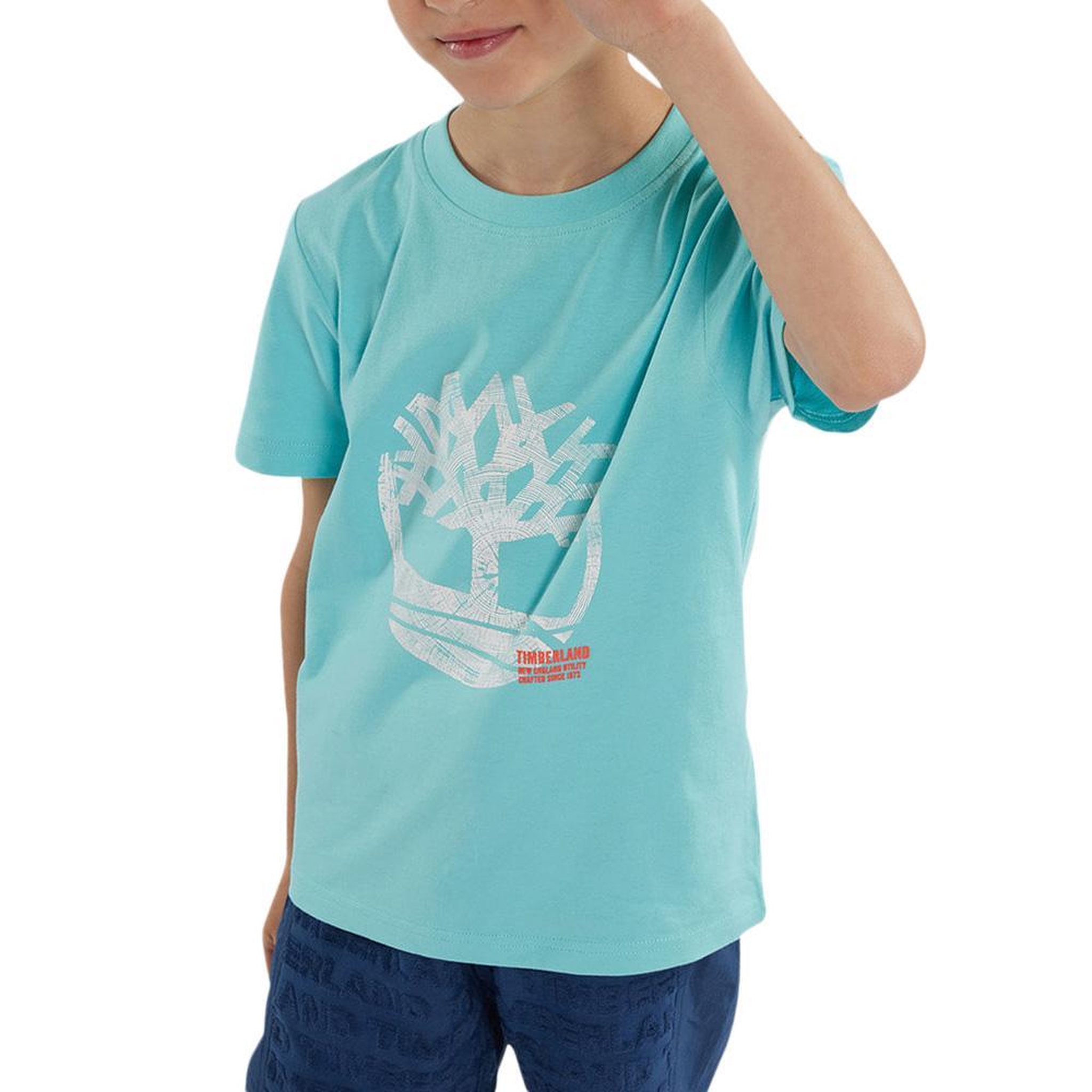 TIMBERLAND T-shirt Turquoise Garçon Timberland T60087. Coloris disponibles : Bleu