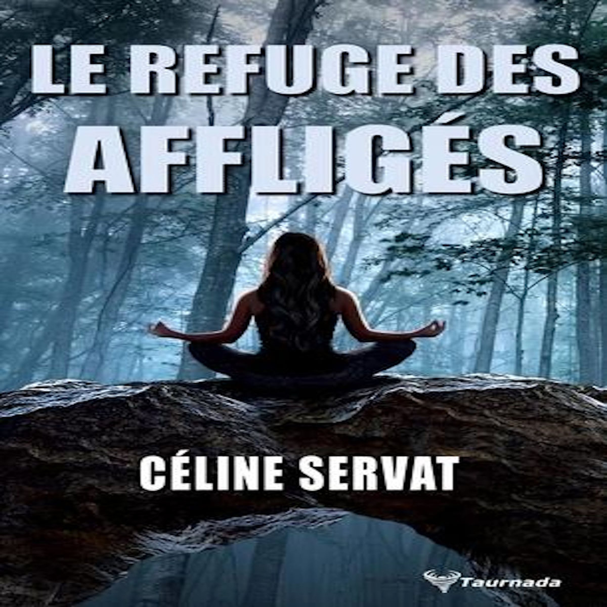 LE REFUGE DES AFFLIGES, Servat Céline