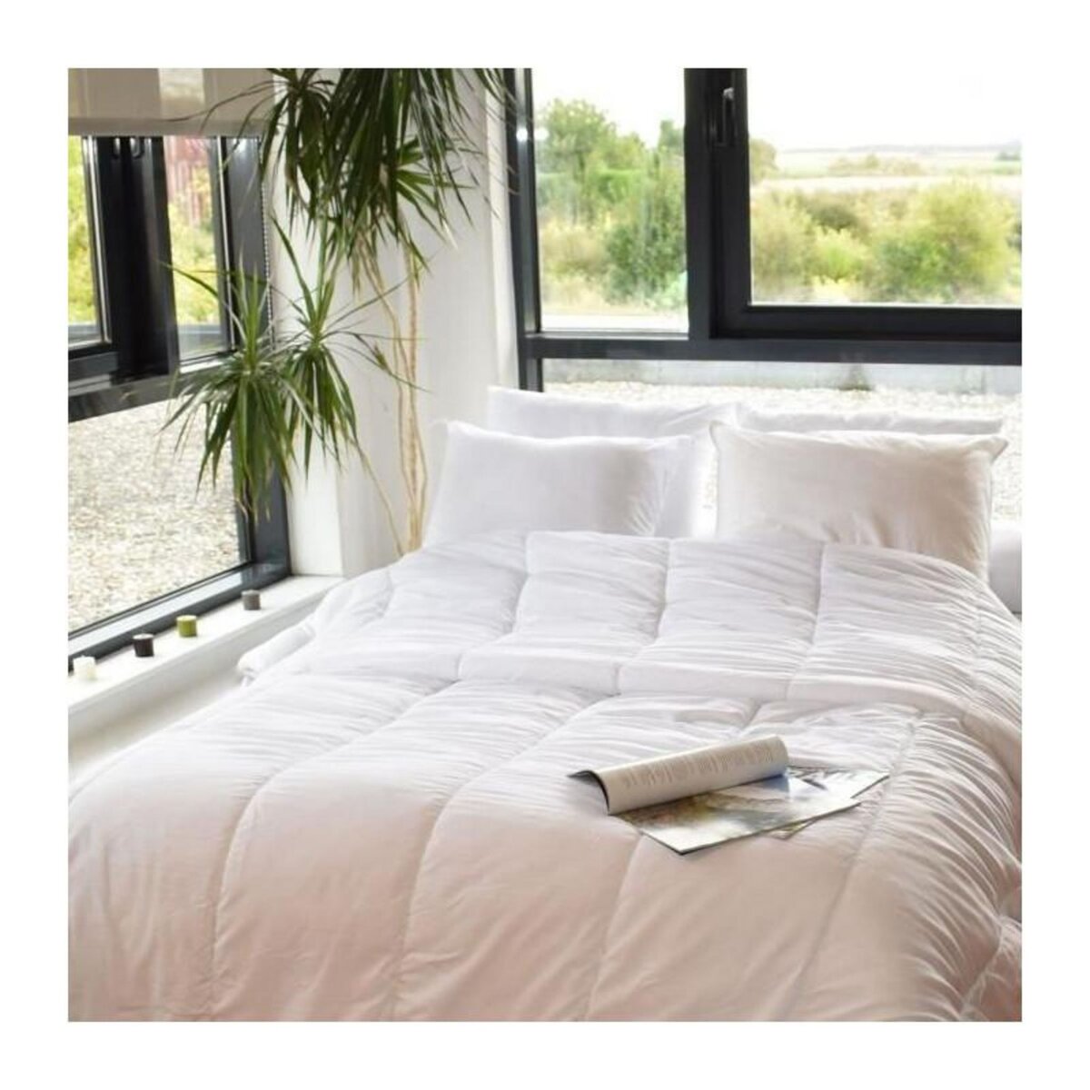 GENERIQUE Couette spéciale câline - Tempérée - 240 x 220 cm - 250 g/m² - Blanc