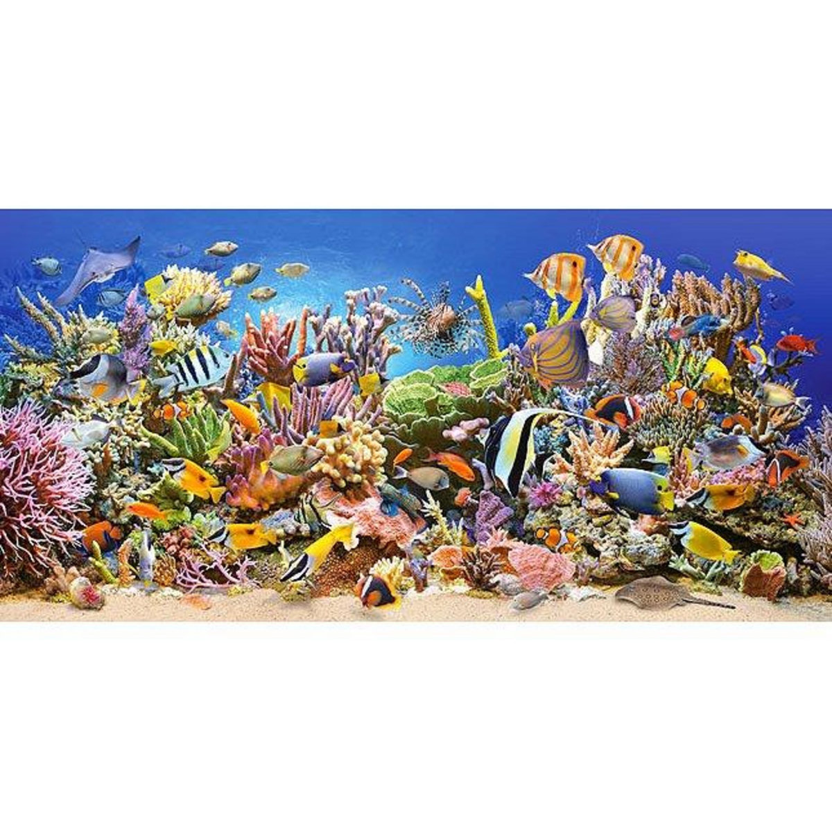Castorland Puzzle 4000 pièces : Vie sous-marine