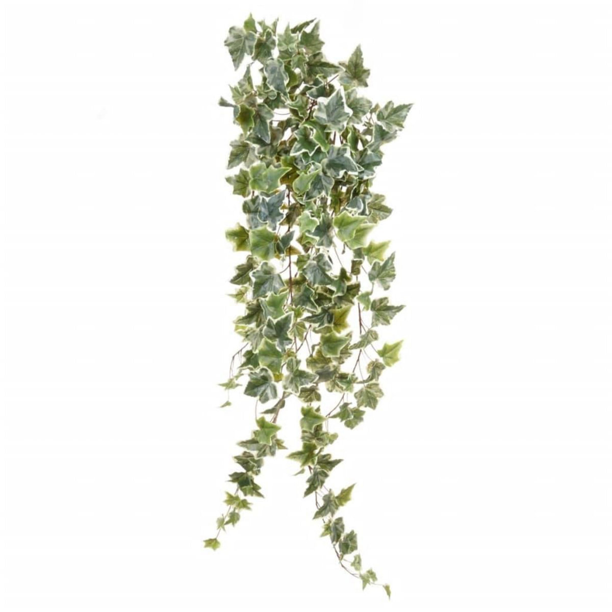 EMERALD Emerald Buisson de lierre artificiel 2 teintes Vert 100 cm 11.960