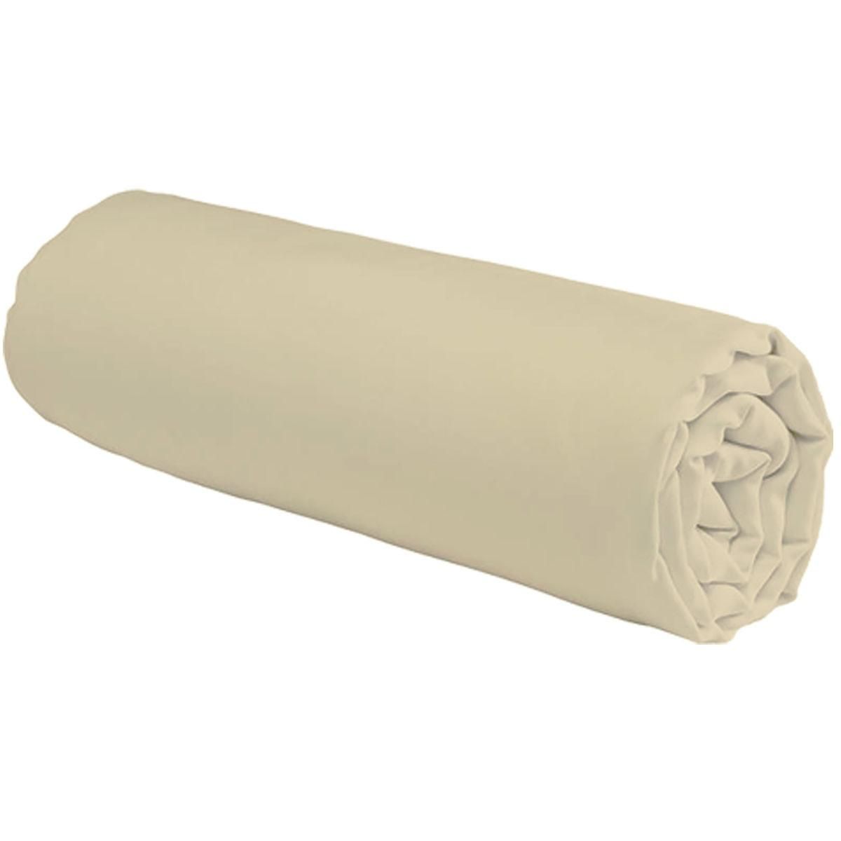 FUTURE HOME Drap housse uni en coton 57 fils