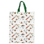 Paris Prix Sac Cadeau Anniversaire  Dinosaure  33cm Vert