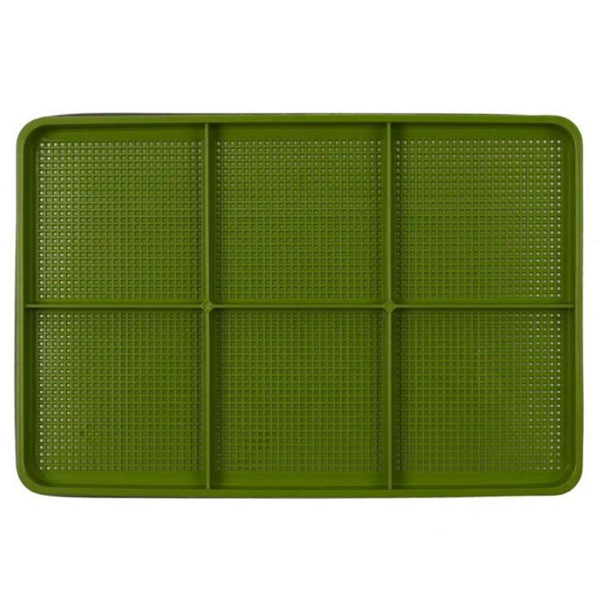 Paris Prix Plateau de Germination  Graines  30cm Vert