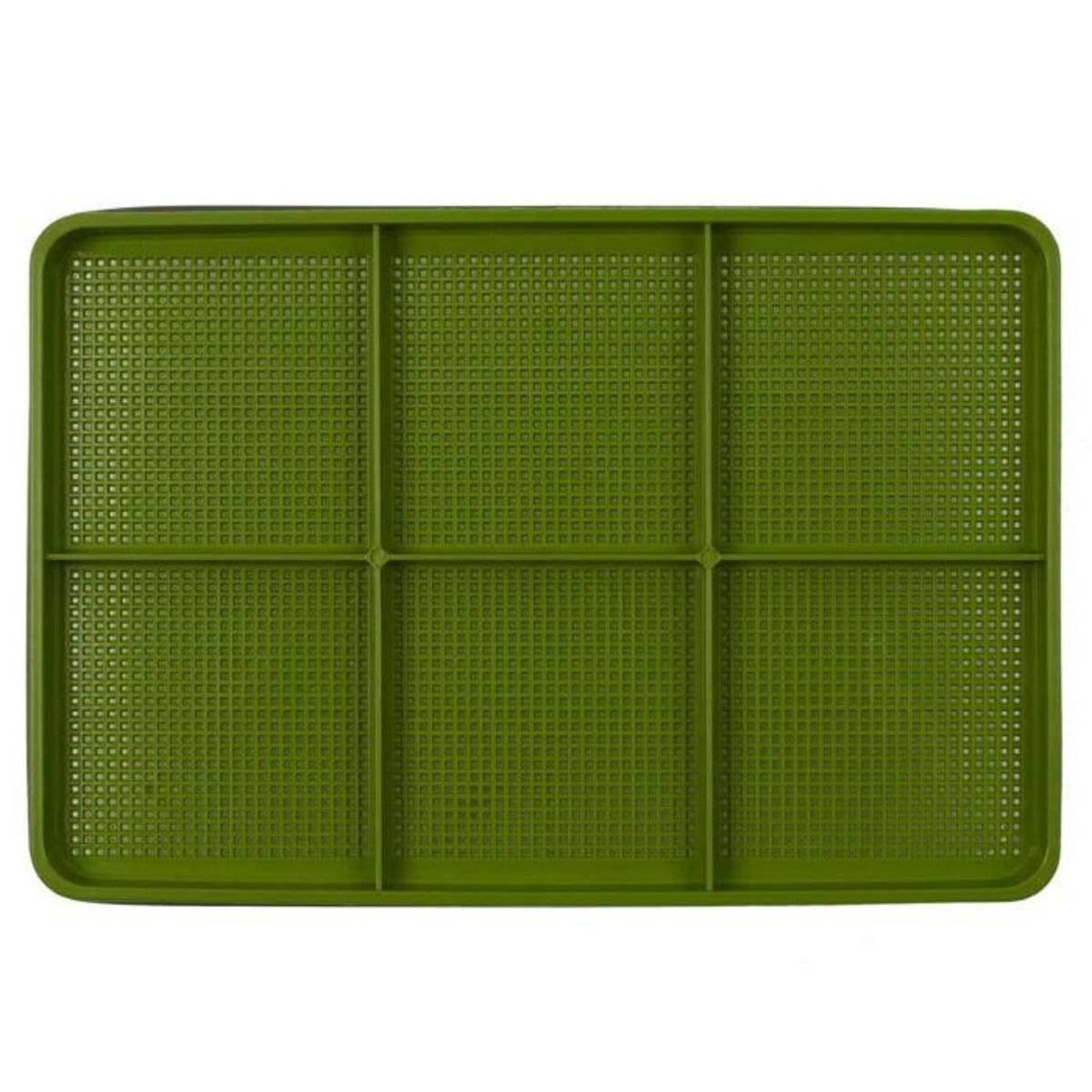 Paris Prix Plateau de Germination  Graines  30cm Vert