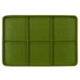 Voir la diapositive 5 : Paris Prix Plateau de Germination  Graines  30cm Vert