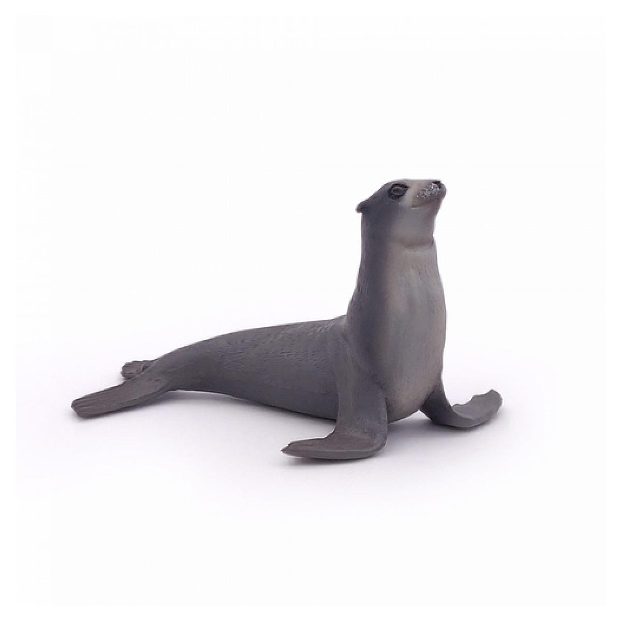 Voir la diapositive 1 : Papo 56025 figurine anim Otarie