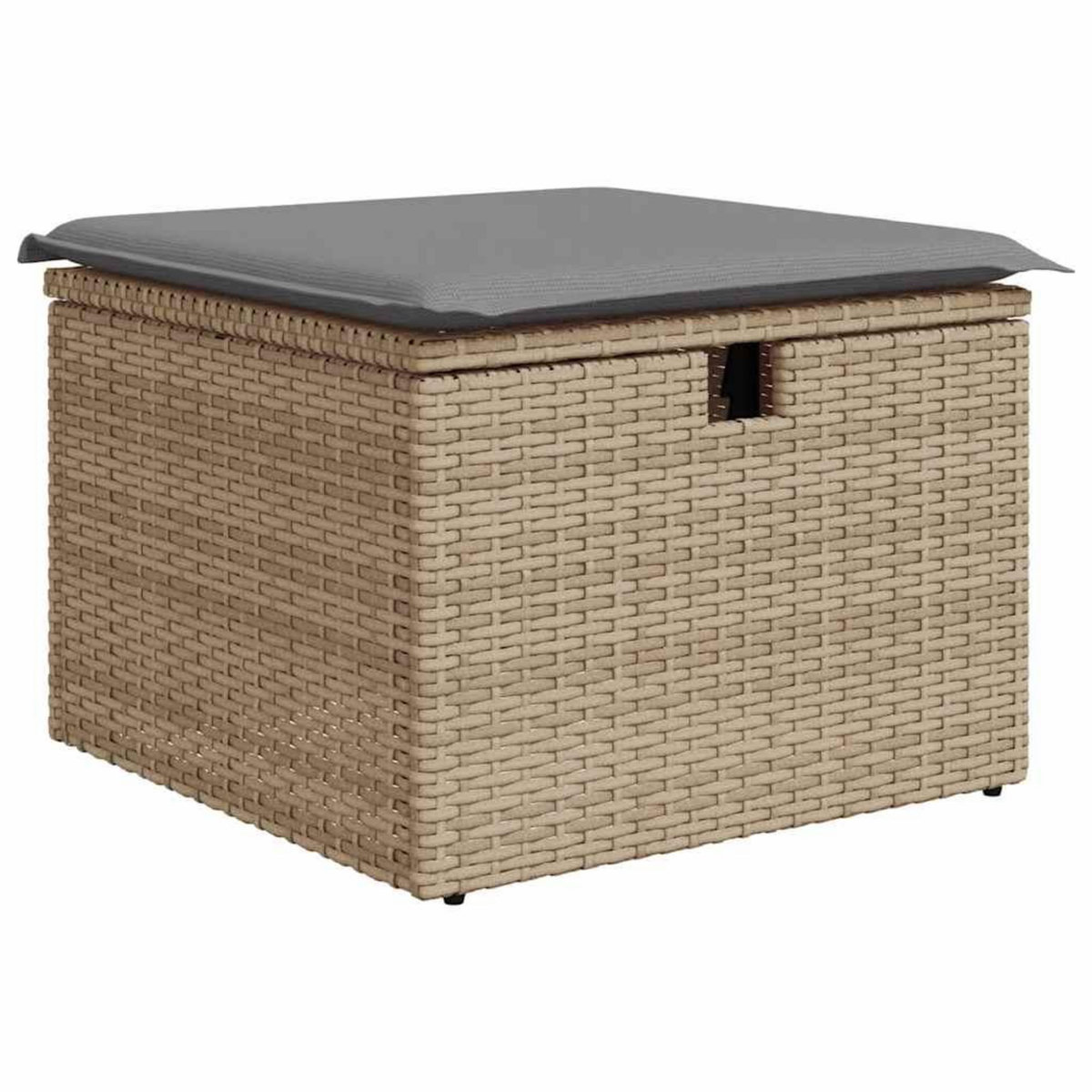VIDAXL Salon de jardin avec coussins 6 pcs beige resine tressee