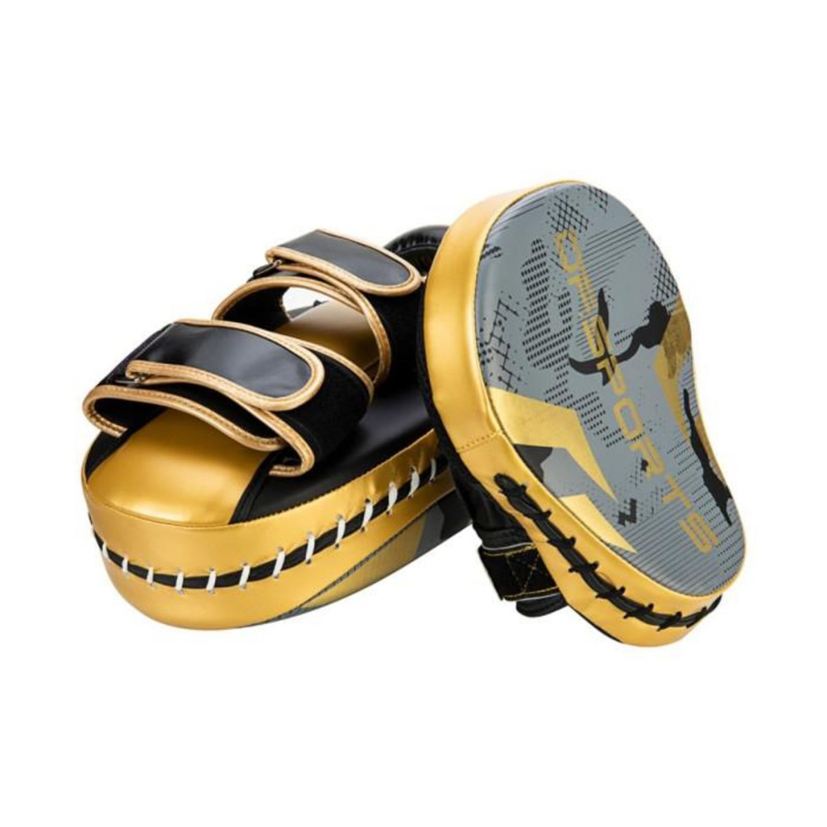 Paris Prix Set d'Entrainement Gants, Patte d'Ours & Pao  Boxe  10oz Gris & Or