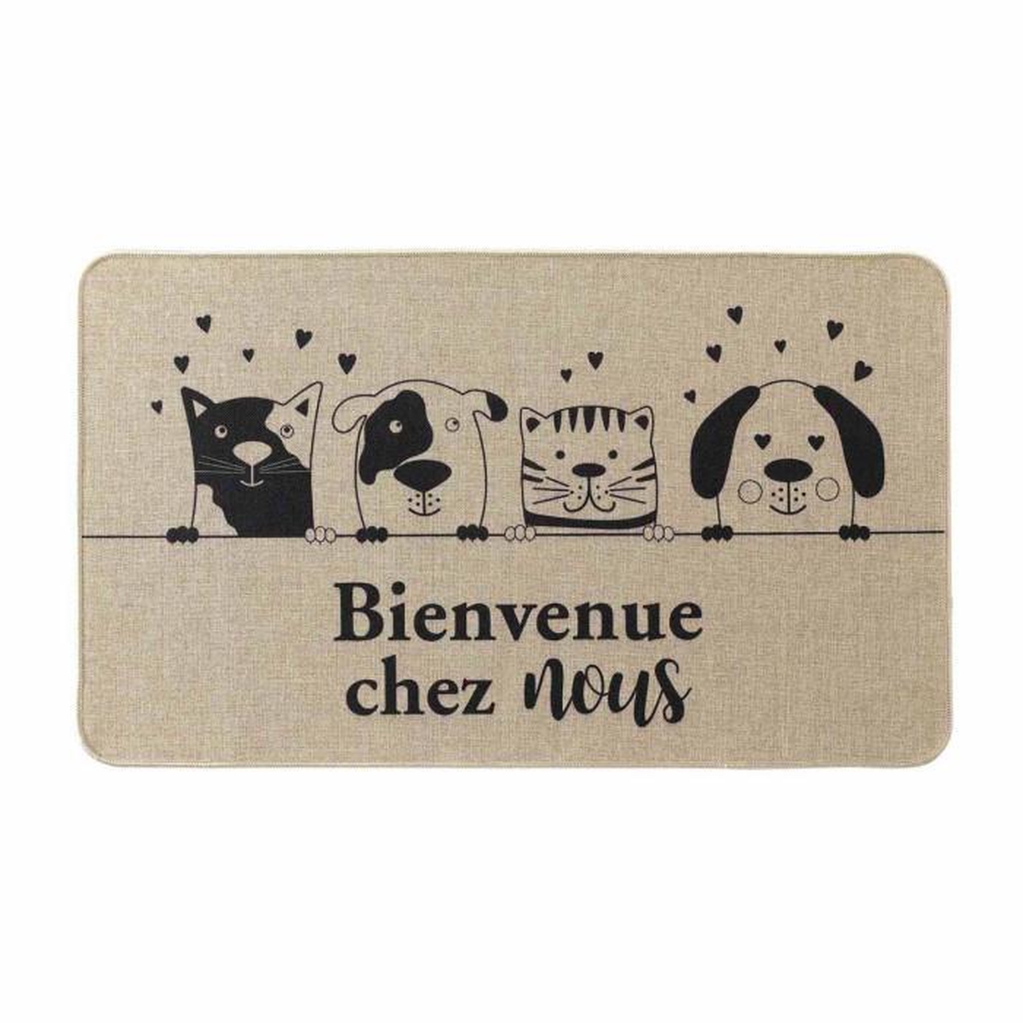 Voir la diapositive 1 : Paris Prix Tapis d'Entrée Imprimé  Zamis  45x75cm Naturel