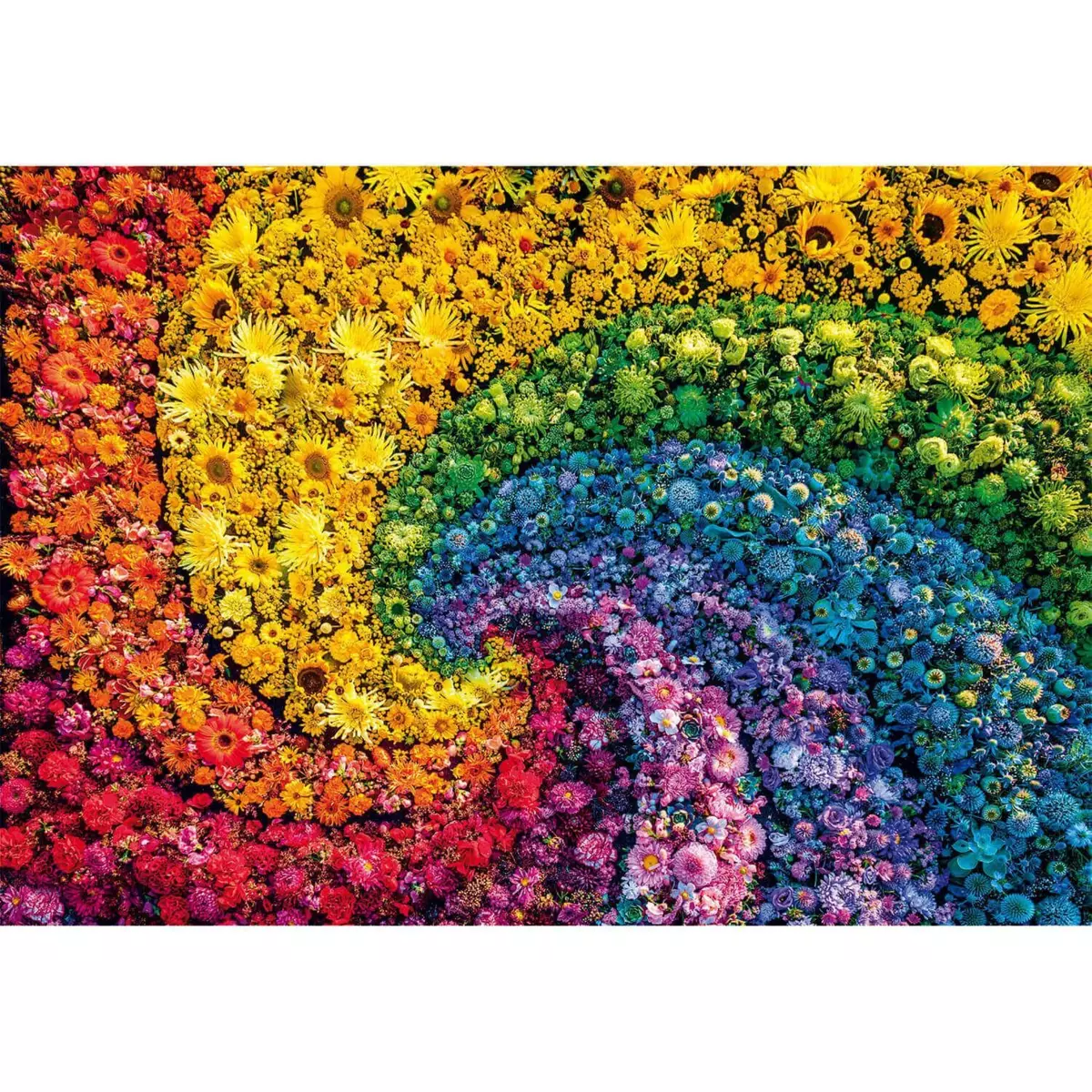 CLEMENTONI Puzzle 1000 pièces + poster : Colorboom : Tourbillon