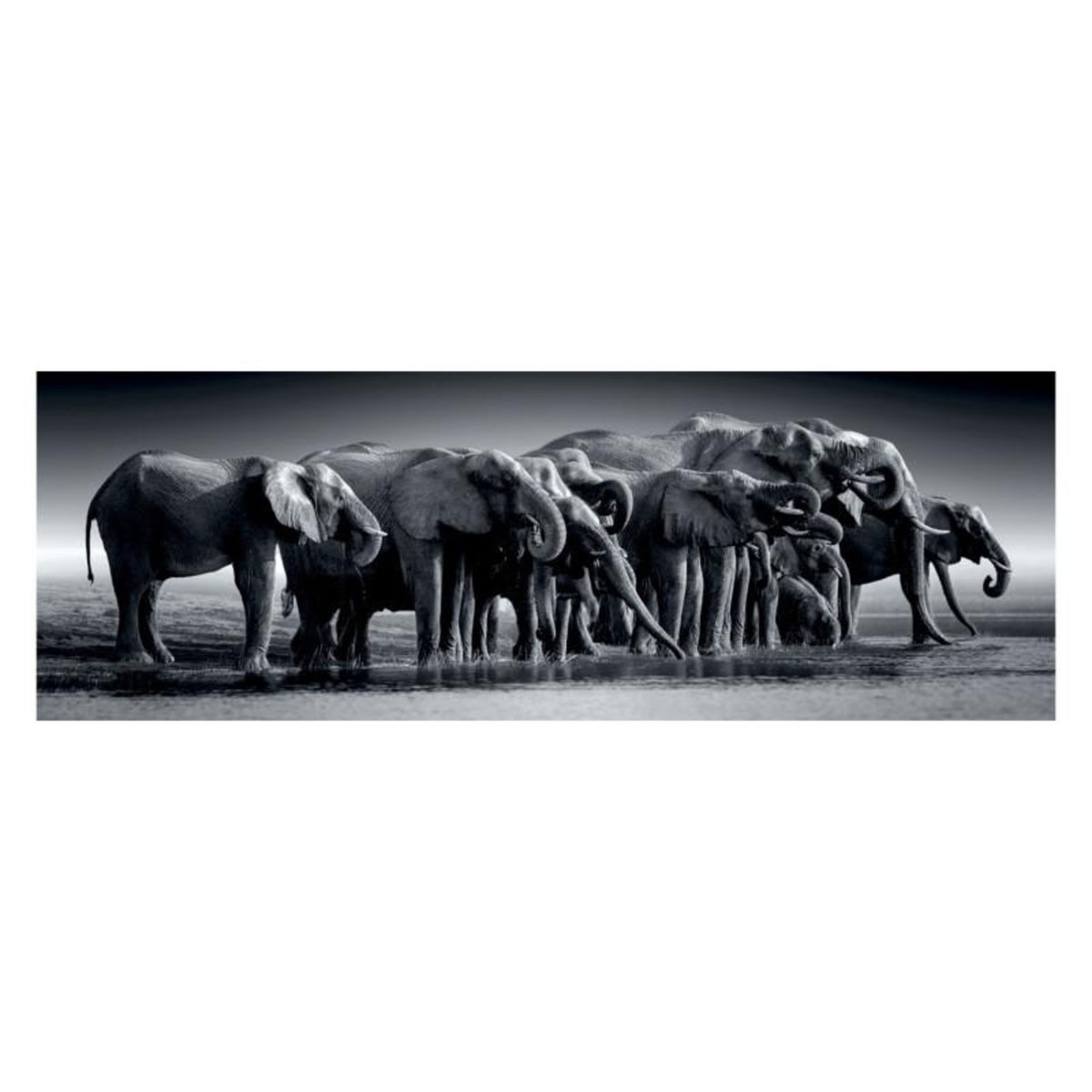 CLEMENTONI Clementoni Jigsaw Puzzle Panorama Herd of Giants, 1000pcs. 39836