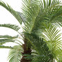 Voir la diapositive 4 : Paris Prix Plante Artificielle en Pot  3 Palmiers  300cm Vert