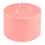 Paris Prix Bougie Déco Parfumée  Trendie  15cm Gingembre Orange