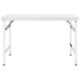 Voir la diapositive 2 : VIDAXL Table de travail pliable de cuisine 120x60x80 cm Inox