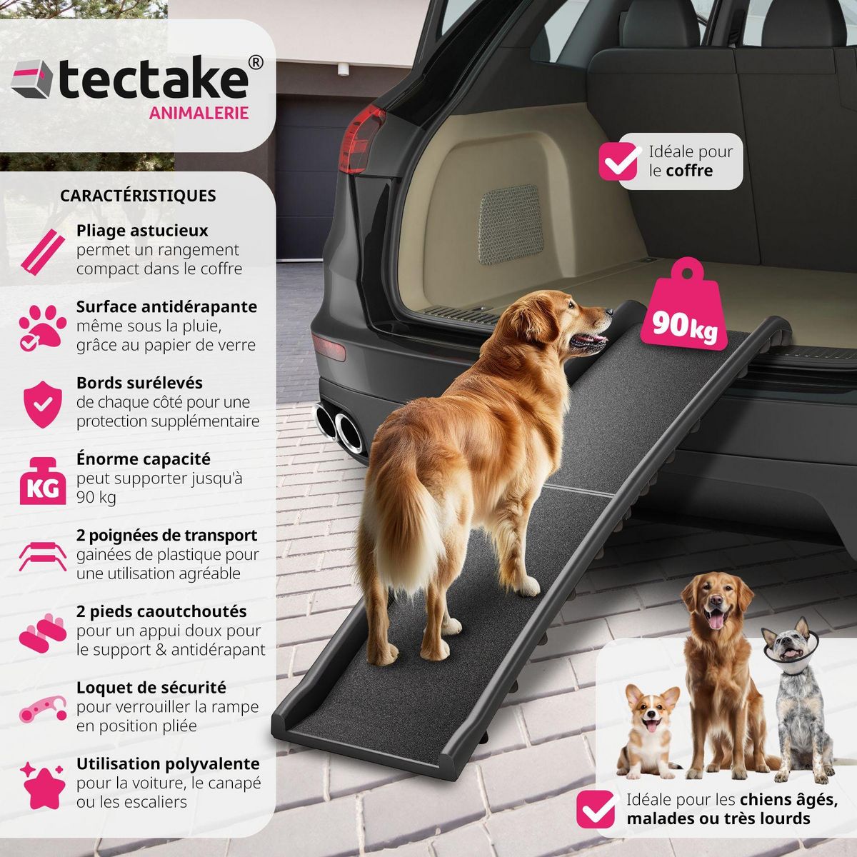 tectake Rampe pour chien pliable et antidérapante noir